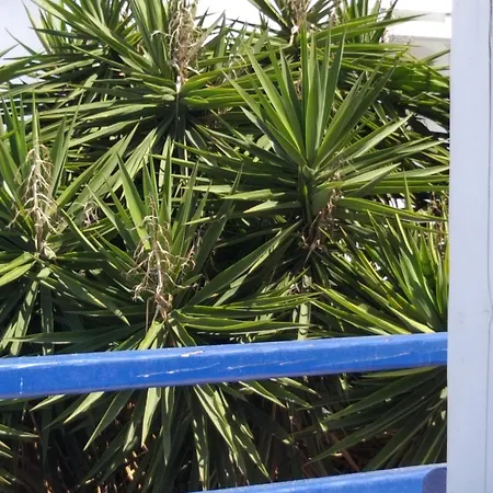 Alex Oldtown Sea View And Appartments Pensión 3*