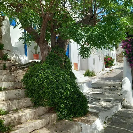 Alex Oldtown Sea View And Appartments 3* Mykonos Town